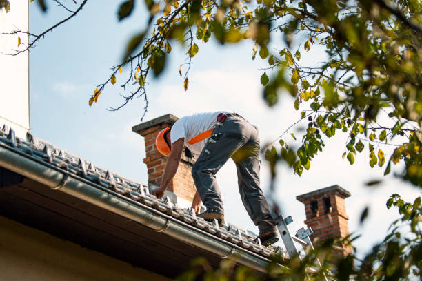 Best Best Roofing Contractors  in Winthrop Harbor, IL