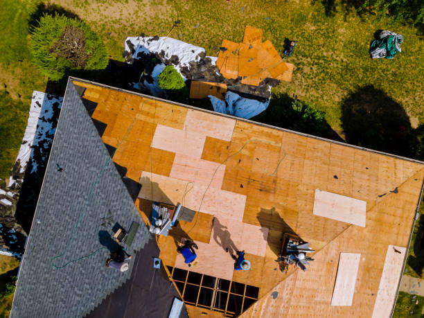 Best Metal Roofing Contractor  in Winthrop Harbor, IL