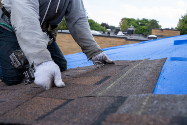 Roof Gutter Cleaning in Winthrop Harbor, IL