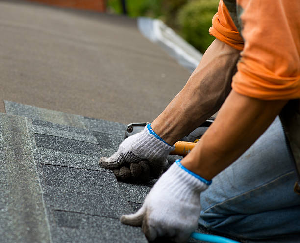 Best Local Roofing Companies  in Winthrop Harbor, IL